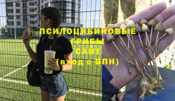 гашик Приозерск